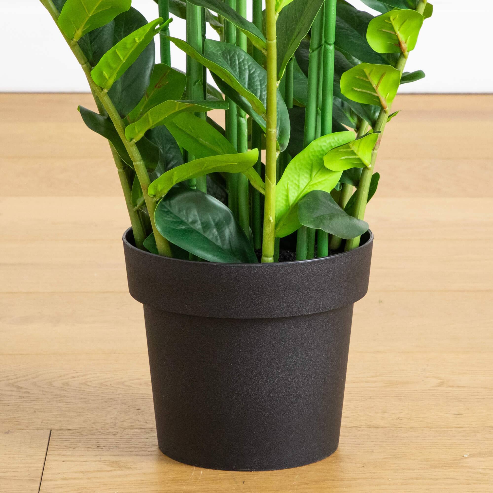 6ft. Artificial Zamioculcas Plant